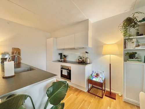 Ryg&aring;rd Park 62, 3. 2, 9400 N&oslash;rresundby