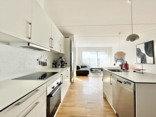 Danalien  1M, 3. 4, 9000 Aalborg