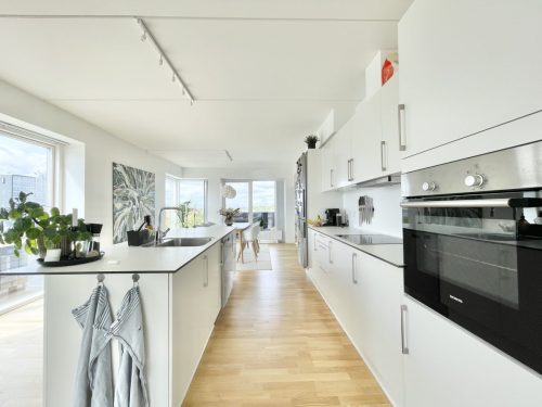 Danalien 1H, 4. tv, 9000 Aalborg