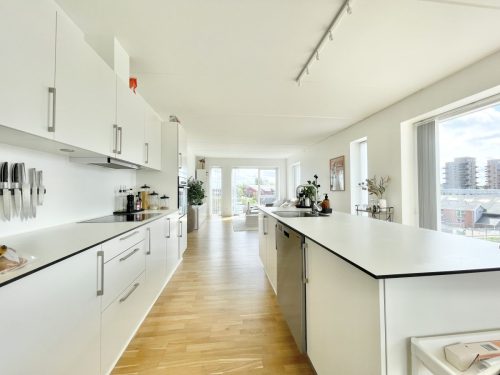 Danalien 1H, 4. tv, 9000 Aalborg