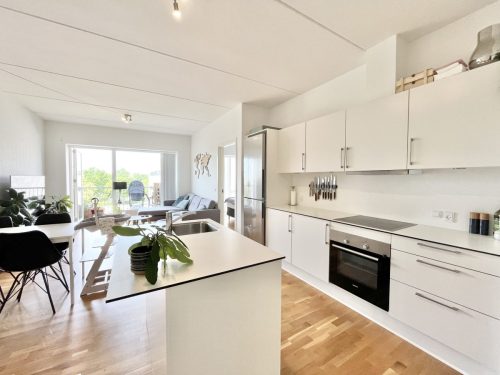 Danalien  1M, 2. 8, 9000 Aalborg