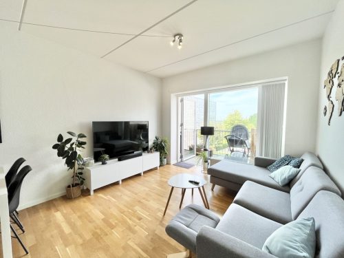 Danalien  1M, 2. 8, 9000 Aalborg