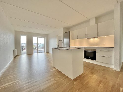 Danalien  1P, 9000 Aalborg
