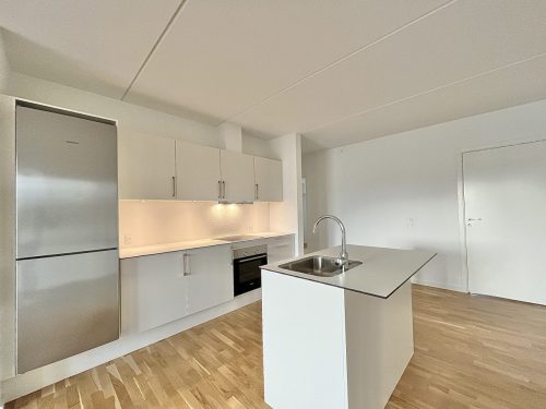 Danalien  1P, 9000 Aalborg