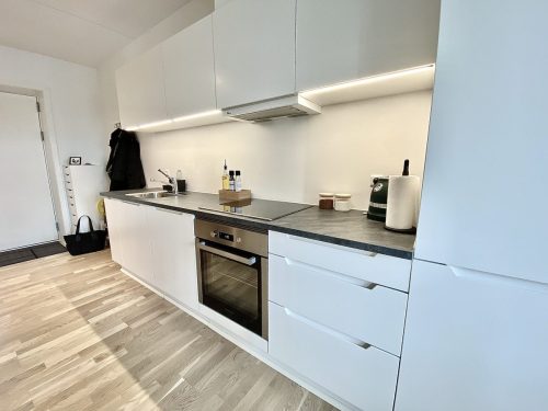 Vestre All&eacute; 2B, 1. 1, 9000 Aalborg
