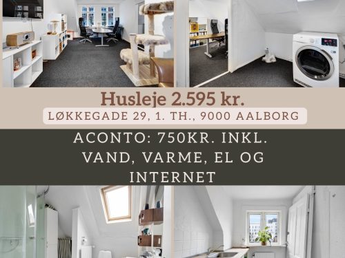 L&oslash;kkegade 29, 1. th., 9000 Aalborg