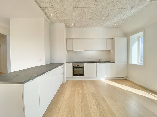 Vestre All&eacute; 2B, 3. 3, 9000 Aalborg
