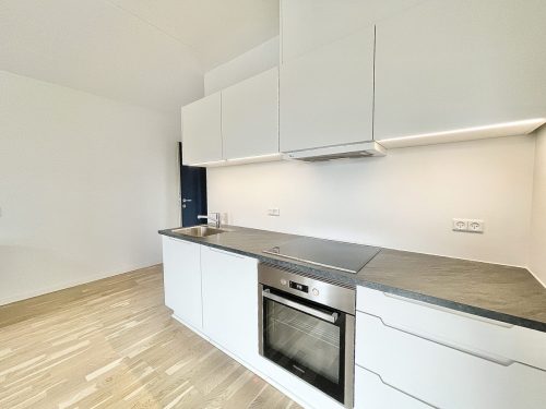 Vestre Allé 2B, 2. 4, 9000 Aalborg