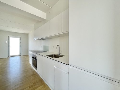 Tornh&oslash;jvej 4B, 3. 2, 9220 Aalborg &Oslash;st