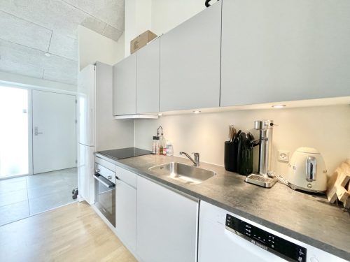 Mylius Erichsens Vej 63F, 1. 3, 9210 Aalborg S&Oslash;