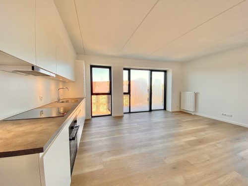 Otto Sterns Have 2, 5. 2, 9220 Aalborg &Oslash;st