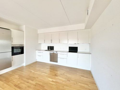 Danalien 1H, 3. mf., 9000 Aalborg