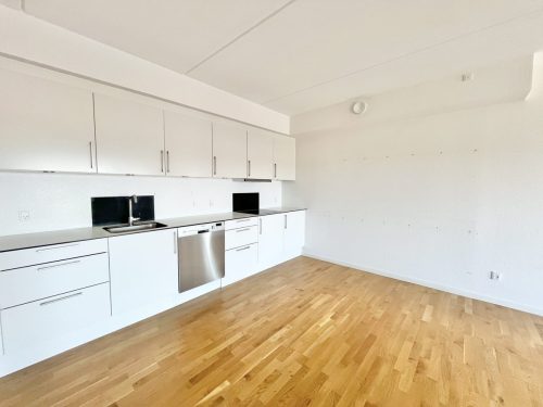 Danalien 1H, 3. mf., 9000 Aalborg
