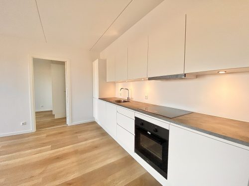 Otto Sterns Have 2, 4. 3, 9220 Aalborg &Oslash;st