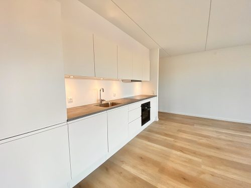 Otto Sterns Have 2, 4. 3, 9220 Aalborg &Oslash;st